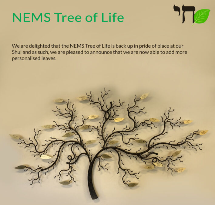 NEMS Tree of Life